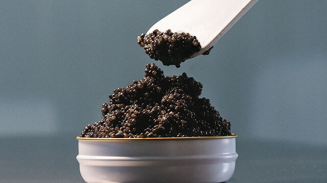 cata caviar riofrio