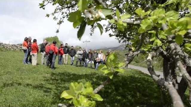 ruta queso y la sidra asturias