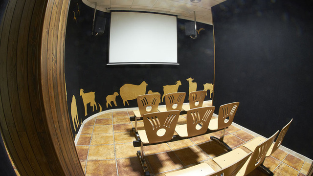 museu bosqueno cadiz
