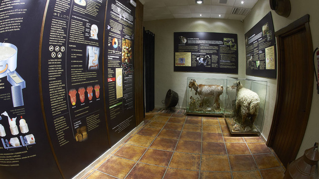 museu bosqueno cadiz