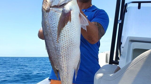 turismo pesca alicante