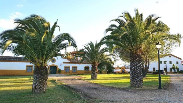 visita dehesa cerdos caceres