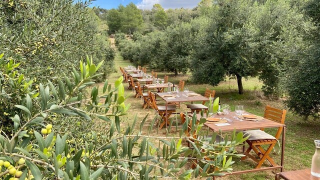 degustacion productos mallorca