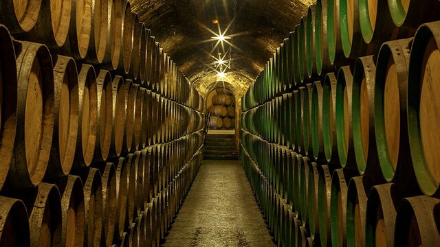 bodega la rioja marques de riscal