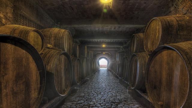taller mojos y visita bodegas tenerife