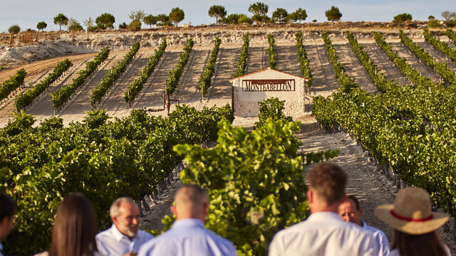 bodega monteabellon burgos