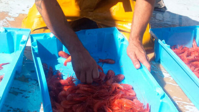 actividad de pesca barcelona