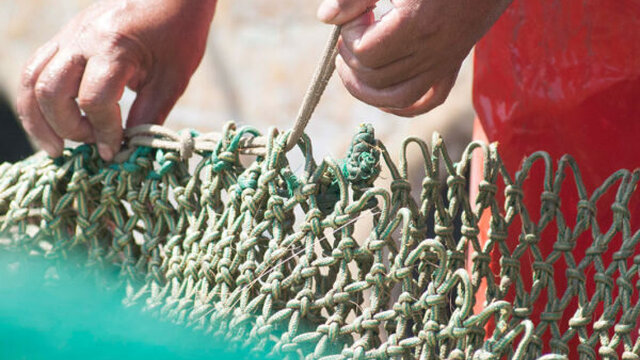 salidas de pesca barcelona cap a mar