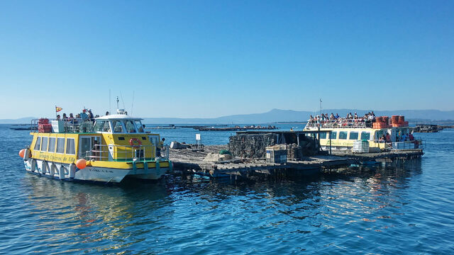 ruta mejillones pontevedra o grove galicia