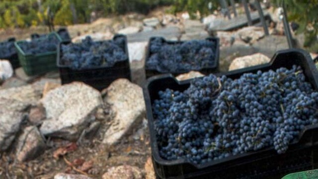 adega vella enoturismo galicia