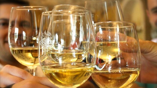 visita vinyes i cata vins alacant valència