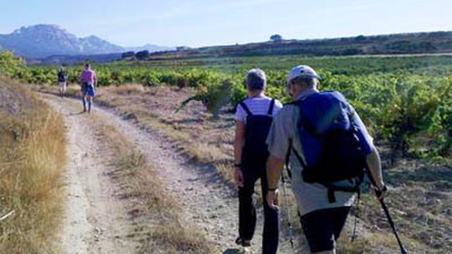 senderismo entre bodegas la rioja