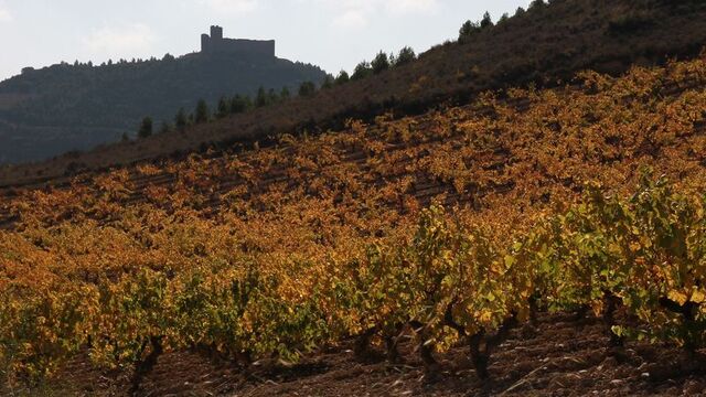 senderismo entre bodegas la rioja