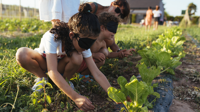 talleres y cursos huerta de rizos la rioja