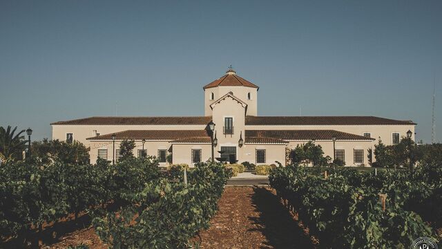 visita bodegas paiva almendralejo extremadura