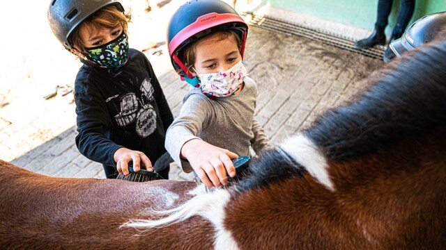 finca son menut visitas baleares