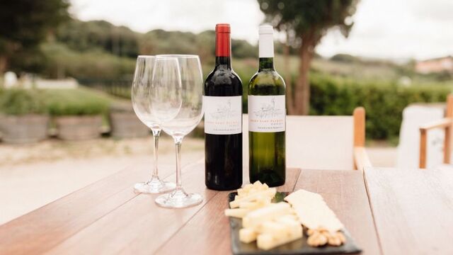 degustacion vino y queso menorca