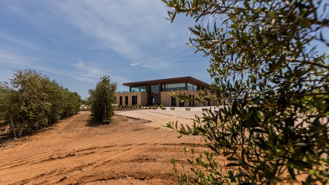 finca son mesquidassa oleoturismo