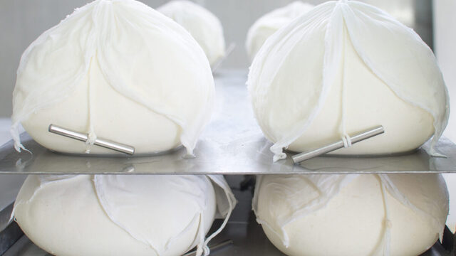 taller queso menorca