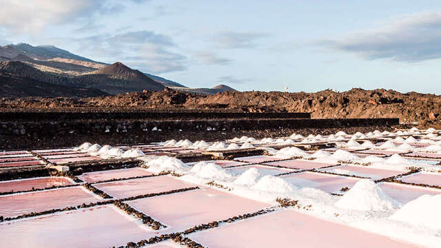 visita salinas fuencaliente tenerife