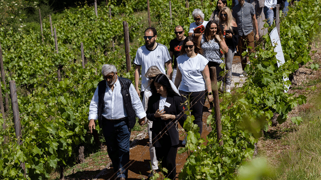 Visita-Enogastronomica-pazo-de-toubes-galicia