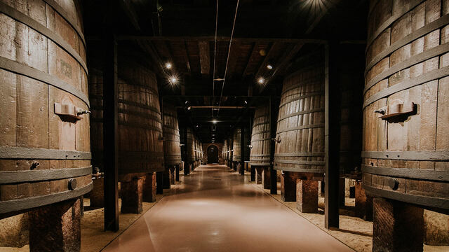 Visita-Bodegas-Franco-Espanolas-La-Rioja