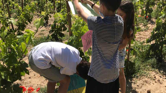 visita-bodega-el-miracle-ninos-lleida