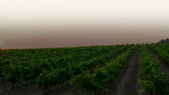 experiencia-entre-viñas-bodegas-irache