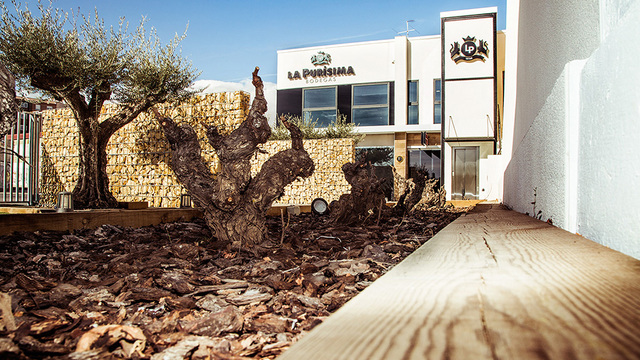 enoturismo-bodegas-la-purisima-navarra