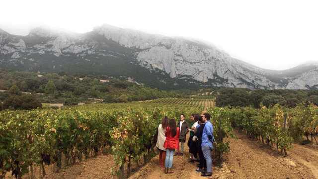 visita-bodegas-pujanza-la-rioja