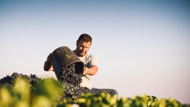 visita-dehesa-de-luna-albacete-castilla-la-mancha