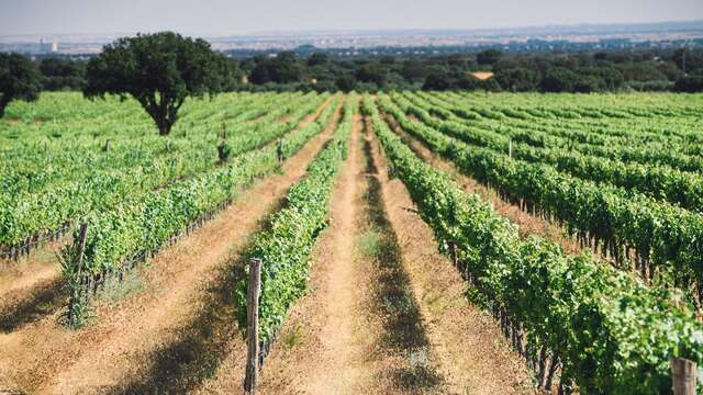 visita-dehesa-de-luna-albacete-castilla-la-mancha