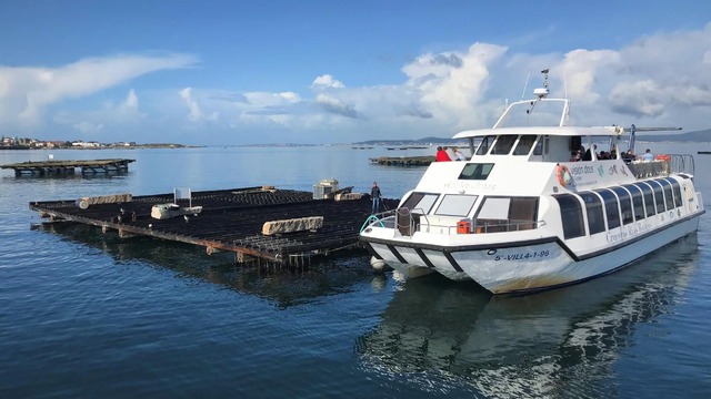 paseo-por-ria-de-arousa-barco-de-los-mejillones-galicia