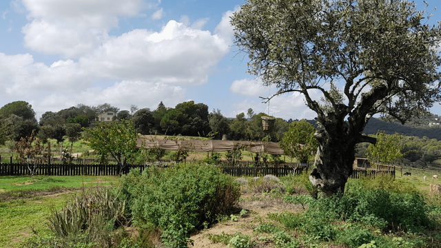 visita parque de los olores