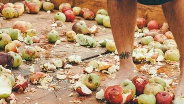 elabora-tu-zumo-manzana-pais-vasco