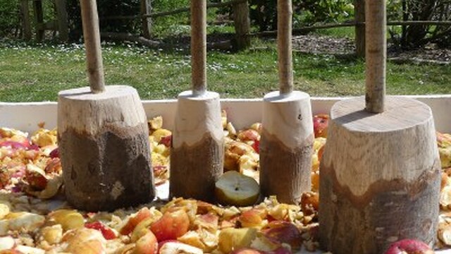 elabora-tu-zumo-manzana-pais-vasco