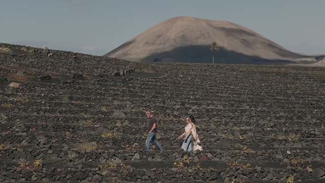 visita-celler-grifo-canarias
