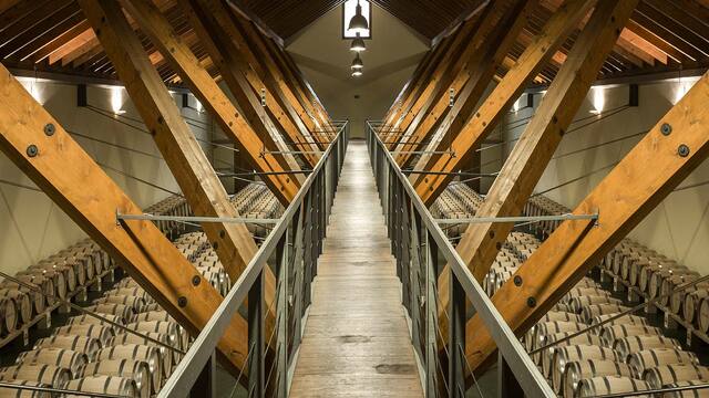 visita-bodega-arinzano-navarra