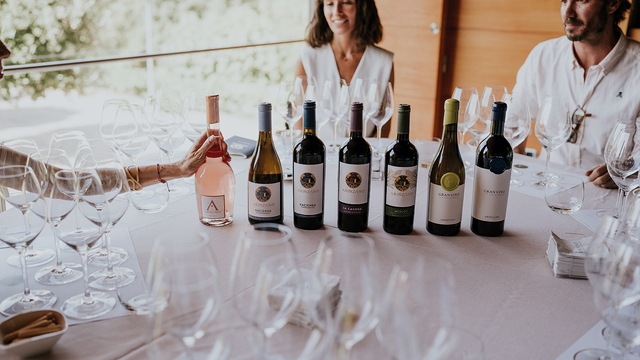 visita-cata-bodega-arinzano-navarra