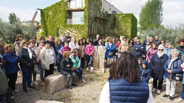 oleoturisme-olis-artajo-navarra