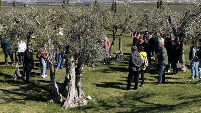 oleoturisme-olis-artajo-navarra