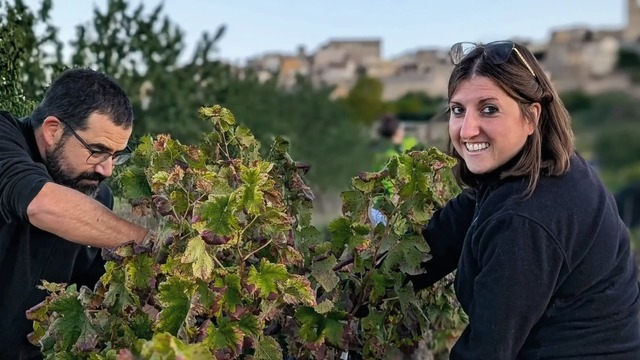 enoturisme celler la llena