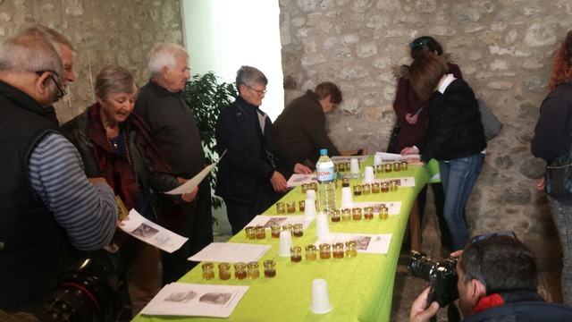 cata de mel dolça abella