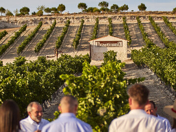 bodega monteabellon burgos