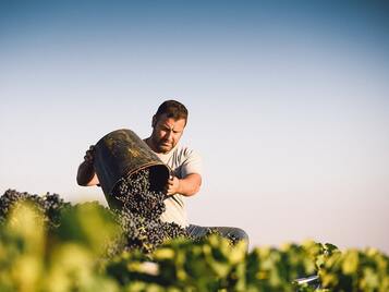 visita-dehesa-de-luna-albacete-castilla-la-mancha