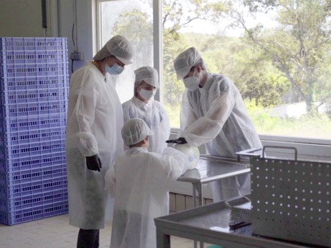 taller hacer queso subaida menorca