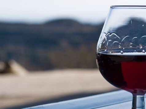 visita-bodega-pacharan-azanza-navarra