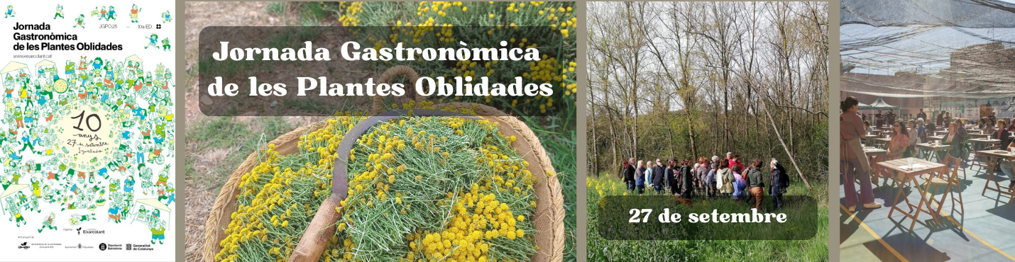 jornada gastronòmica de les plantes oblidades