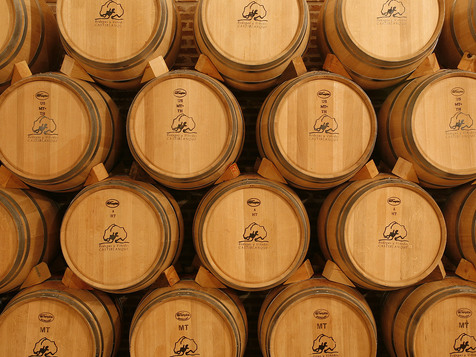 Visita Bodegas Castiblanque Ciudad real Castilla La Mancha