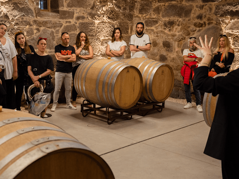 Visita-Enogastronomica-pazo-de-toubes-ourense